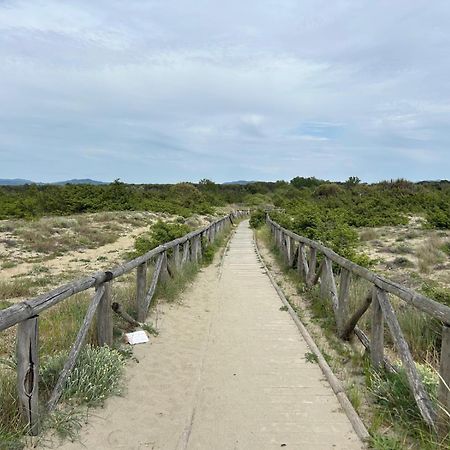 Il Mio Piccolo Angolo Di Mare Viareggio Exteriér fotografie