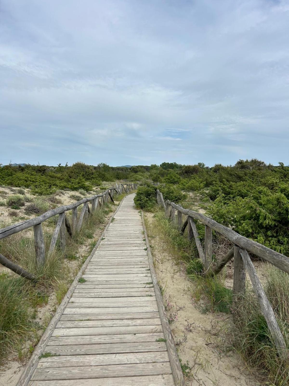 Il Mio Piccolo Angolo Di Mare Viareggio Exteriér fotografie