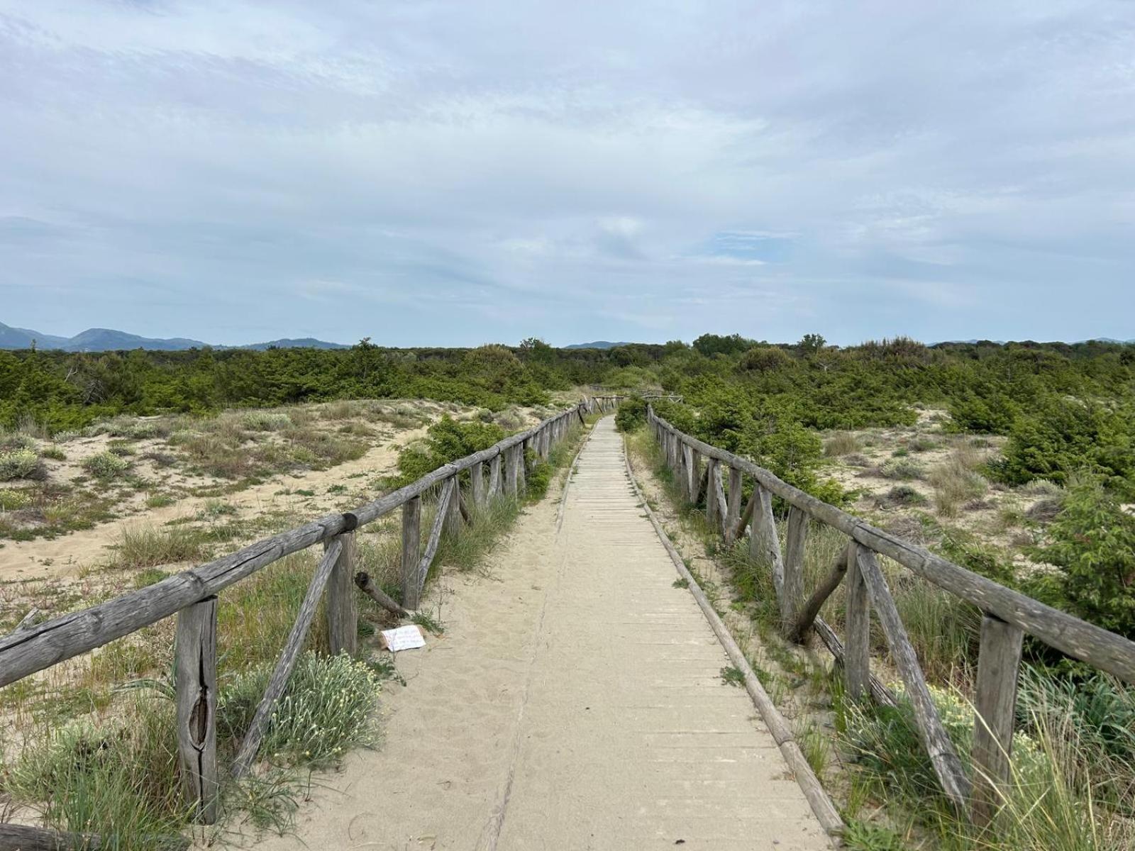 Il Mio Piccolo Angolo Di Mare Viareggio Exteriér fotografie
